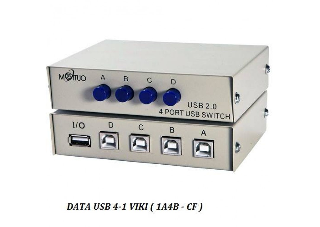 DATA USB 4-1 VIKI (1A4B - CF)