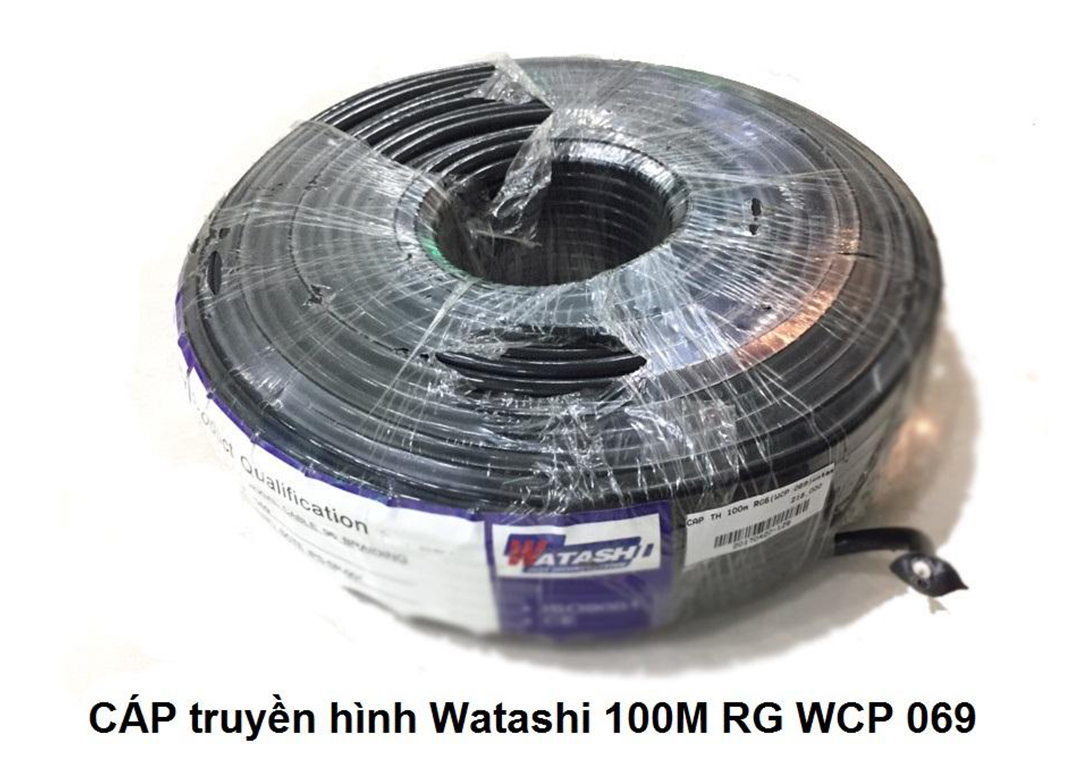 Cáp Truyền Hình RG6 100m WATASHI WCP069